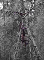 /album/fridas-bilder/ct-jpg/