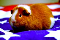 /album/fridas-bilder/emmie-jpg/