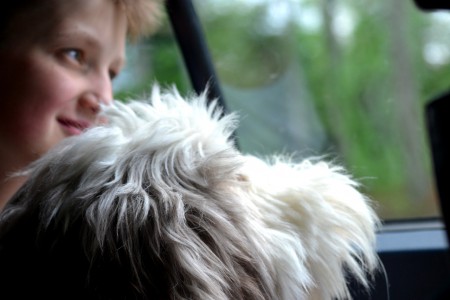 "My happiness has four paws, a big nose and a wagging tail"